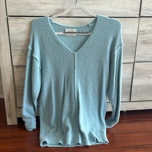 Aritzia wildfred free blue v-neck sweater